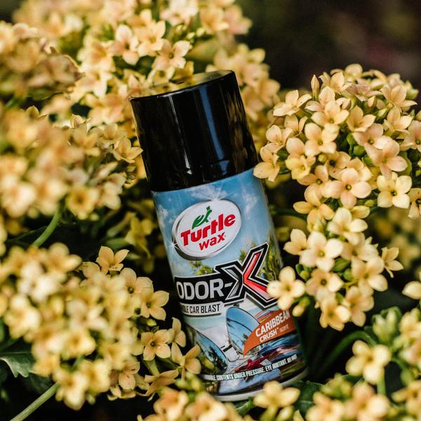 Turtle Wax POWER OUT ODOR-X WHOLE CAR AIR FRESHENER - 25 FL OZ