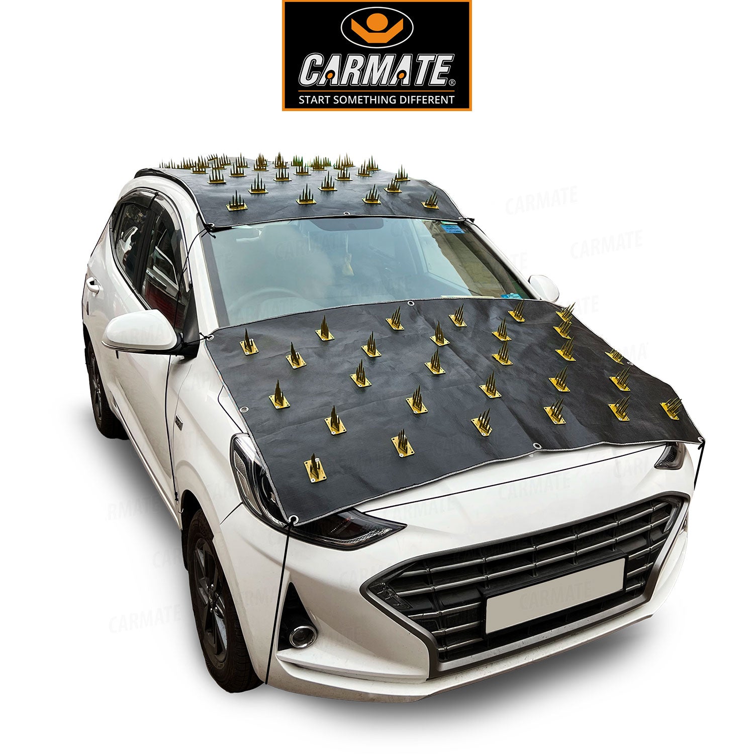 New CARMATE Car Protection Cover from Monkey and Dog for All Car – CARMATE®