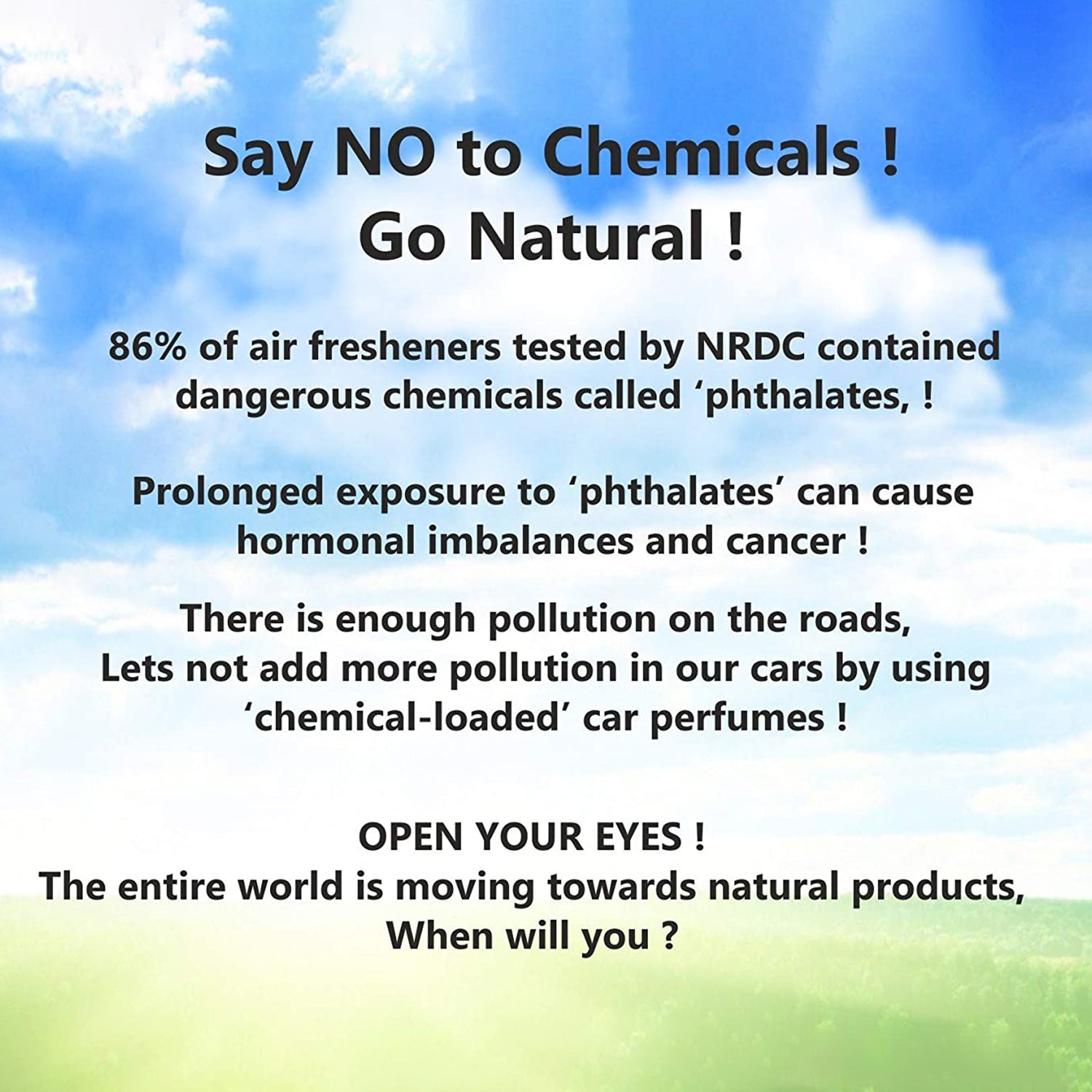 My Shaldan Big Lemon Car Air Fresheners Can (250g)