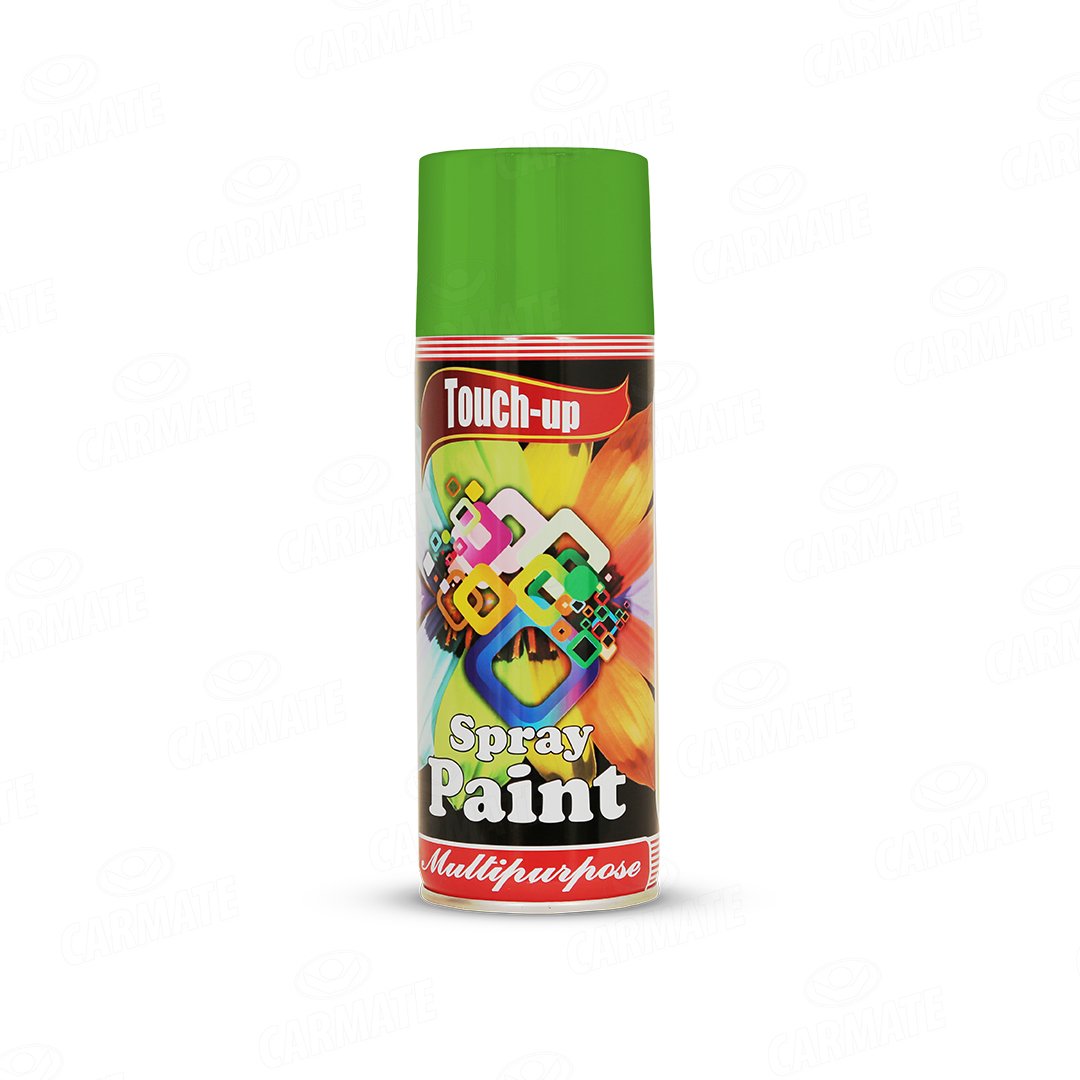 Tuouch Up Ready-to-Use Aerosol Spray Paint for Car, Bike, Wall Painting, Home And Furniture 400 ML Onion Green