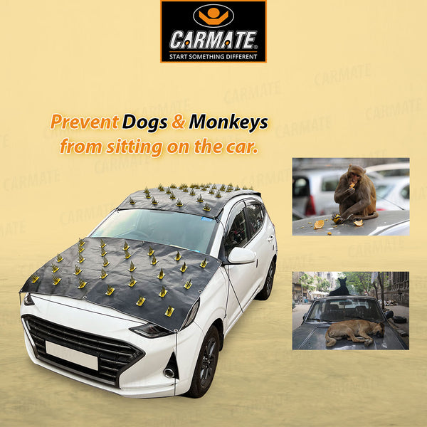 New CARMATE Car Protection Cover from Monkey and Dog for All Car