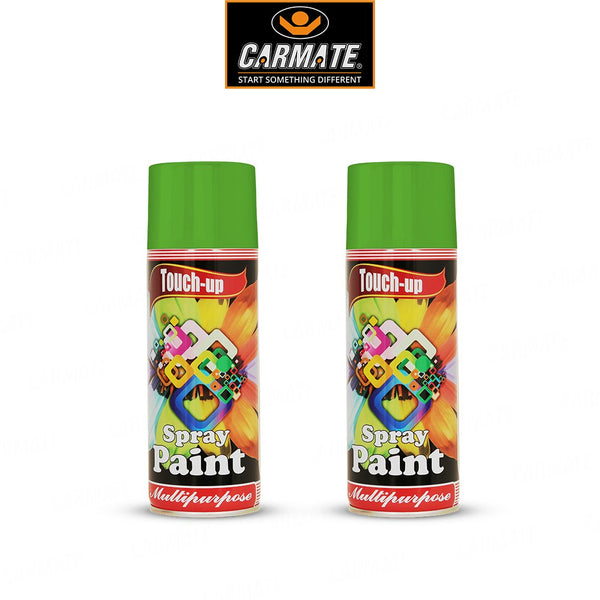 Tuouch Up Ready-to-Use Aerosol Spray Paint for Car, Bike, Wall Painting, Home And Furniture 400 ML Onion Green